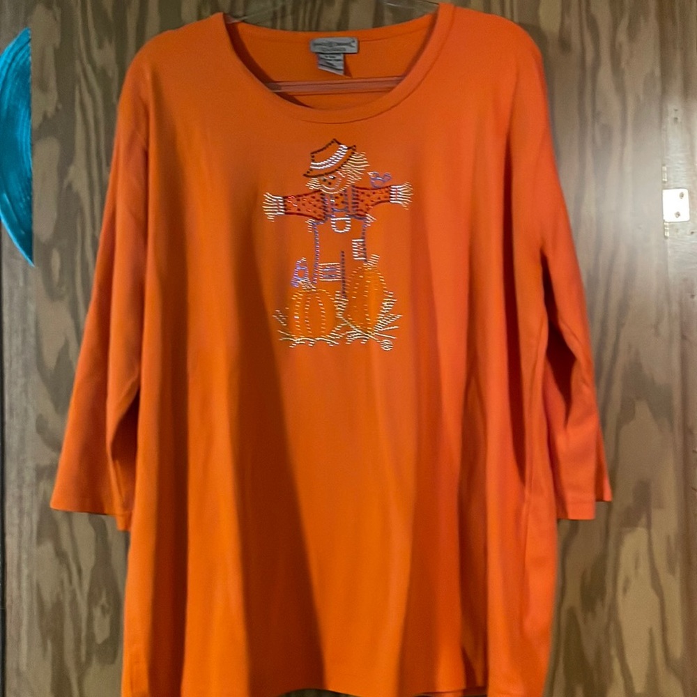 Scarecrow beaded top
